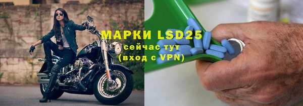 прущие грибы Гусев