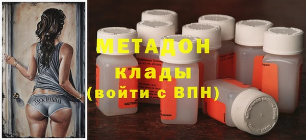 прущие грибы Гусев