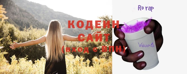 прущие грибы Гусев