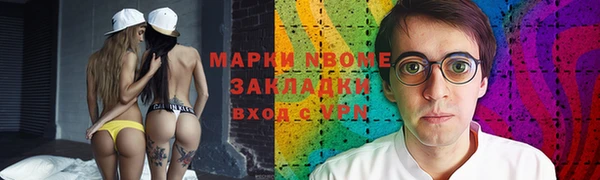 прущие грибы Гусев