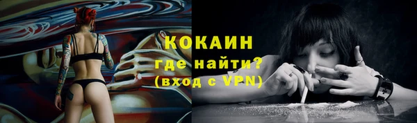 прущие грибы Гусев