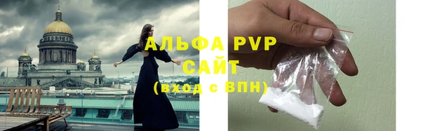 прущие грибы Гусев