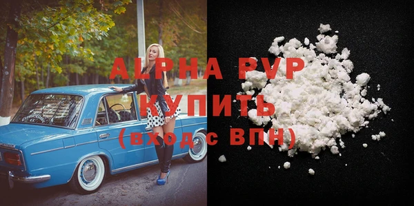 прущие грибы Гусев