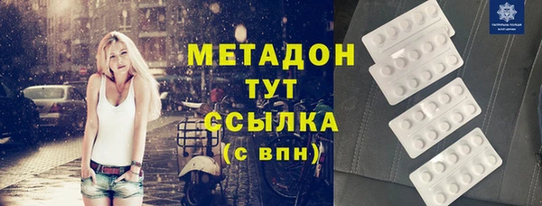 прущие грибы Гусев