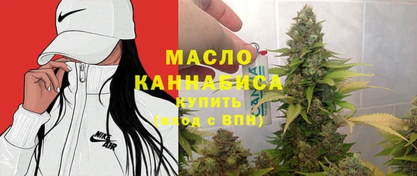 мяу мяу мука Гусь-Хрустальный
