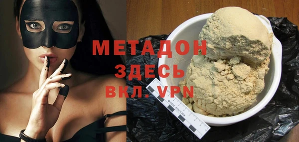 прущие грибы Гусев