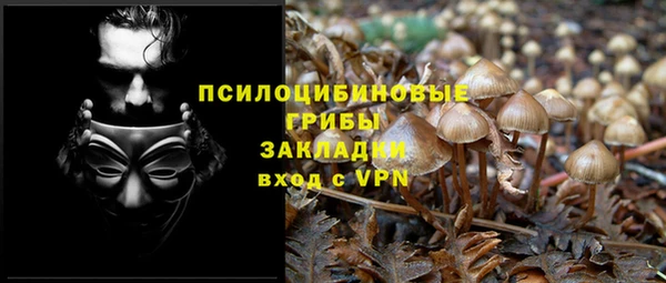 прущие грибы Гусев