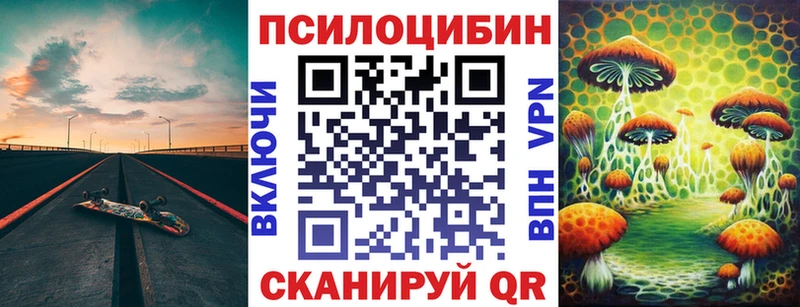 Купить где  Каменск-Шахтинский  Галлюциногенные грибы Cubensis 